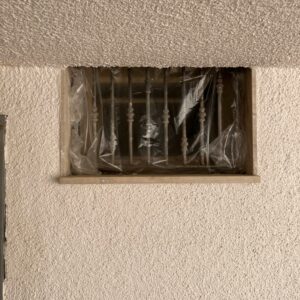 Intervento di Derattizzazione