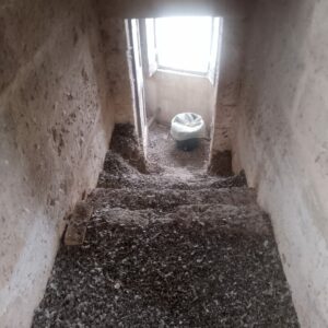 intervento di bonifica, sanificazione e installazione sistemi anti volatili.