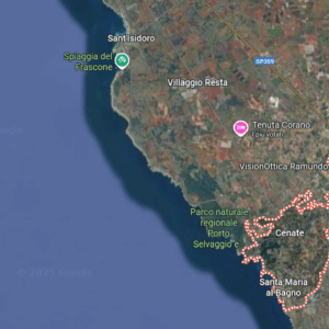 Noleggio, fornitura e posa in opera bagni chimici per mercati e località marine di Nardò fino al 30.09.2025.